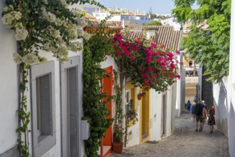 Old town alleys, houses, partly lushly overgrown, Tavira, in the Algarve, Portugal