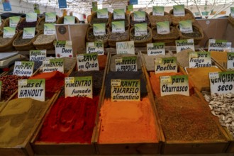 The Mercado Municipal de Tavira, market stalls of all kinds under one roof, spices, vegetables,
