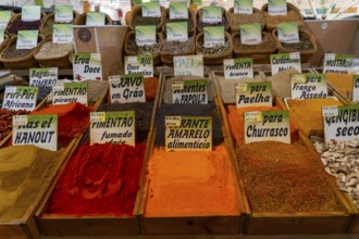 The Mercado Municipal de Tavira, market stalls of all kinds under one roof, spices, vegetables,