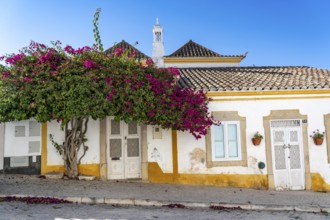 Old town alleys, houses, partly lushly overgrown, Tavira, in the Algarve, Portugal