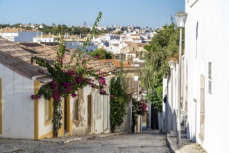 Old town alleys, houses, partly lushly overgrown, Tavira, in the Algarve, Portugal