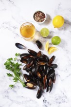 Fresh mussels scattered on the table, with ingredients, lemon and herbs, white wine, top view,