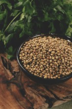 A bunch of fresh cilantro, coriander seeds and bowls, close-up, top view, no people, food and