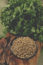 A bunch of fresh cilantro, coriander seeds and bowls, close-up, top view, no people, food and