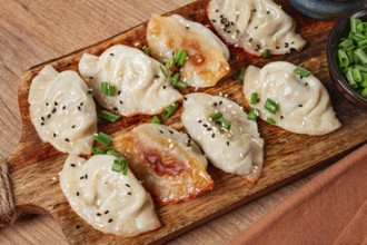 Gyoza Japanese dumplings, fried, with sauce, with green onion and sesame seeds, no people,