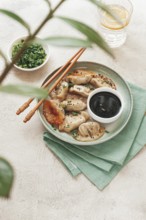 Gyoza Japanese dumplings, fried, with sauce, green onion, and sesame seeds, natural color, light