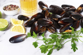 Fresh mussels scattered on the table, with ingredients, lemon and herbs, white wine, top view,