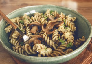Fusilli pasta, in creamy mushroom sauce, pasta with mushrooms, homemade, no people