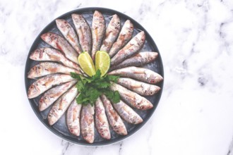 Fresh mullet fish, laid out on a large platter, garnished with lime slices and cilantro, top view