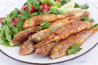 Fried crispy mullet fish, with fresh salad, on a plate with lime, no people
