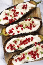 Fried eggplant with sauce, decorated with microgreens and pomegranate seeds, eggplant appetizer,