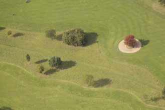 Aerial view, red maple tree on a green meadow, An den Höfen, shapes and colours, Bruckhausen,