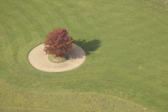 Aerial view, red maple tree on a green meadow, An den Höfen, shapes and colours, Bruckhausen,