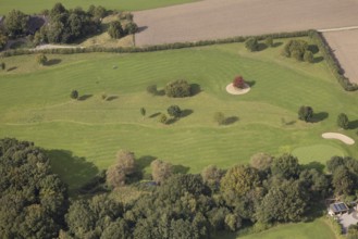 Aerial view, red maple tree on a green meadow, An den Höfen, shapes and colours, Bruckhausen,