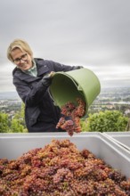 Together with the Saxon Minister of Tourism, Barbara Klepsch, the winegrowers of Schloss