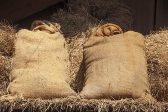 Flour sacks as decoration at the Bremer Osterwiese fair, Bürgerweide, Bremen, Germany