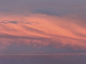 Stratocumulus stratiformis Stratocumulus clouds Cloud bank at sunset, international