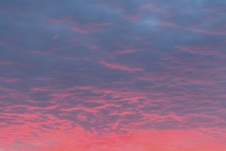 Above grey stratocumulus clouds Stratocumulus clouds Cluster layer clouds, below evening red in the