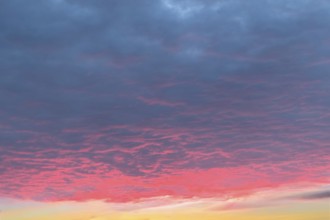 Above grey stratocumulus clouds Stratocumulus clouds Cluster layer clouds, below evening red and