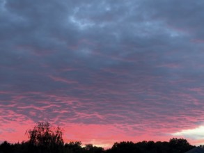 Above grey stratocumulus clouds Stratocumulus clouds Cluster layer clouds, below sunset over