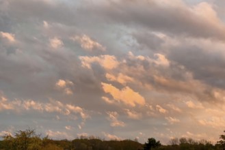 Cumulus clouds Cluster clouds move across the sky over the edge of the forest as dusk falls,