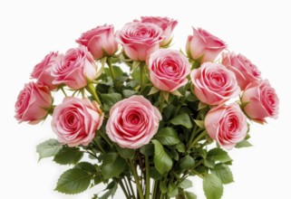 This image showcases a stunning arrangement of pink roses, their delicate petals fully bloomed. The