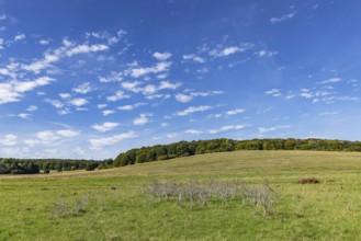 Pristine landscape in the Swabian Alb biosphere reserve with blue skies and small clouds. The
