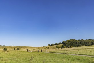 Pristine landscape in the Swabian Alb biosphere reserve with blue skies and small clouds. The