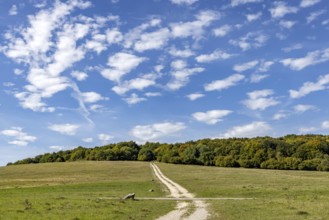Pristine landscape in the Swabian Alb biosphere reserve with blue skies and small clouds. The