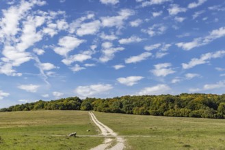 Pristine landscape in the Swabian Alb biosphere reserve with blue skies and small clouds. The