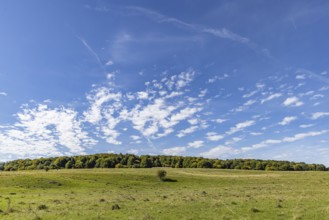 Pristine landscape in the Swabian Alb biosphere reserve with blue skies and small clouds. The