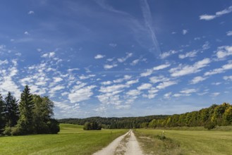 Pristine landscape in the Swabian Alb biosphere reserve with blue skies and small clouds. The