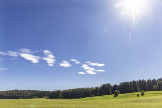 Pristine landscape in the Swabian Alb biosphere reserve with blue skies and small clouds. The