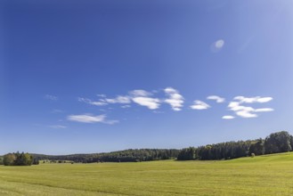Pristine landscape in the Swabian Alb biosphere reserve with blue skies and small clouds. The