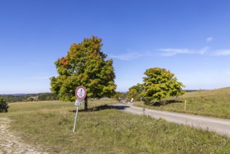 Hikers in the Swabian Alb biosphere reserve. The former military training area in Münsingen is an