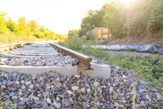 Railway tracks surrounded by plants at sunset, Hermann Hessebahn construction site, Calw, Germany