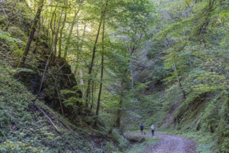 Trailfinger Gorge near Seeburg in the Swabian Alb. Man and woman with dog on a hike through the