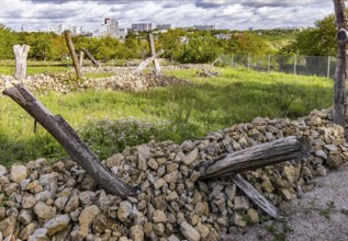 Areas with artificial stone piles for lizards. The city of Stuttgart has cleared allotments in the