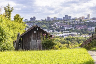 View of apartment blocks in Neugereut. Allotment garden on the Schnarrenberg with garden shed in