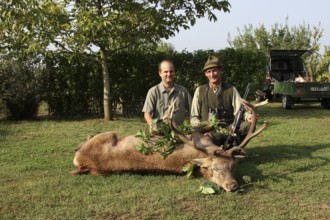 Red deer (Cervus elaphus) shot during the rut, 14 years old, abnormal, hunter and hunting guide,
