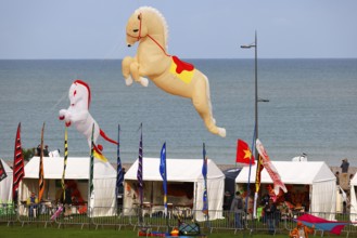 Kite Festival, International Kite Festival, Dieppe, Normandy, France