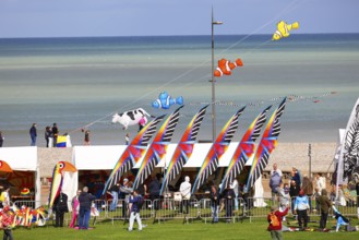 Kite Festival, International Kite Festival, Dieppe, Normandy, France