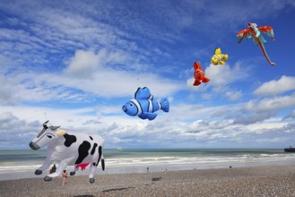 Kite festival on the beach, International Kite Festival, Dieppe, Normandy, France