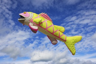 Kite festival, international kite festival, kite in the shape of a fish, Dieppe, Normandy, France