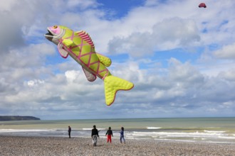 Kite festival on the beach, international kite festival, kite in the shape of a fish, Dieppe,