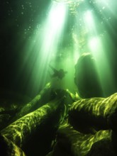 River diving, scuba, diving, magic, underwater, fairy world, sunbeams, light, green, diffuse,
