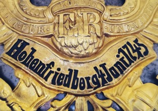 Exhibit Helmet, detail of pickelhaube for the Queen's (Pomeranian) Cuirassier Regiment No. 2,