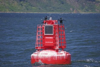 A red buoy with a cormorant rests on the sea, a silent hint in the vast waterscape, Moray Firth,