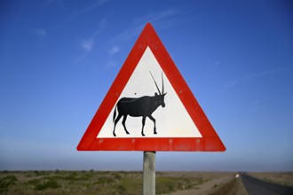Beware of oryx antelopes (Oryx gazella) sign on a road near Oranjemund, Diamond Sperrgebiet, Karas