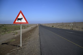 Beware of oryx antelopes (Oryx gazella) sign on a road near Oranjemund, Diamond Sperrgebiet, Karas